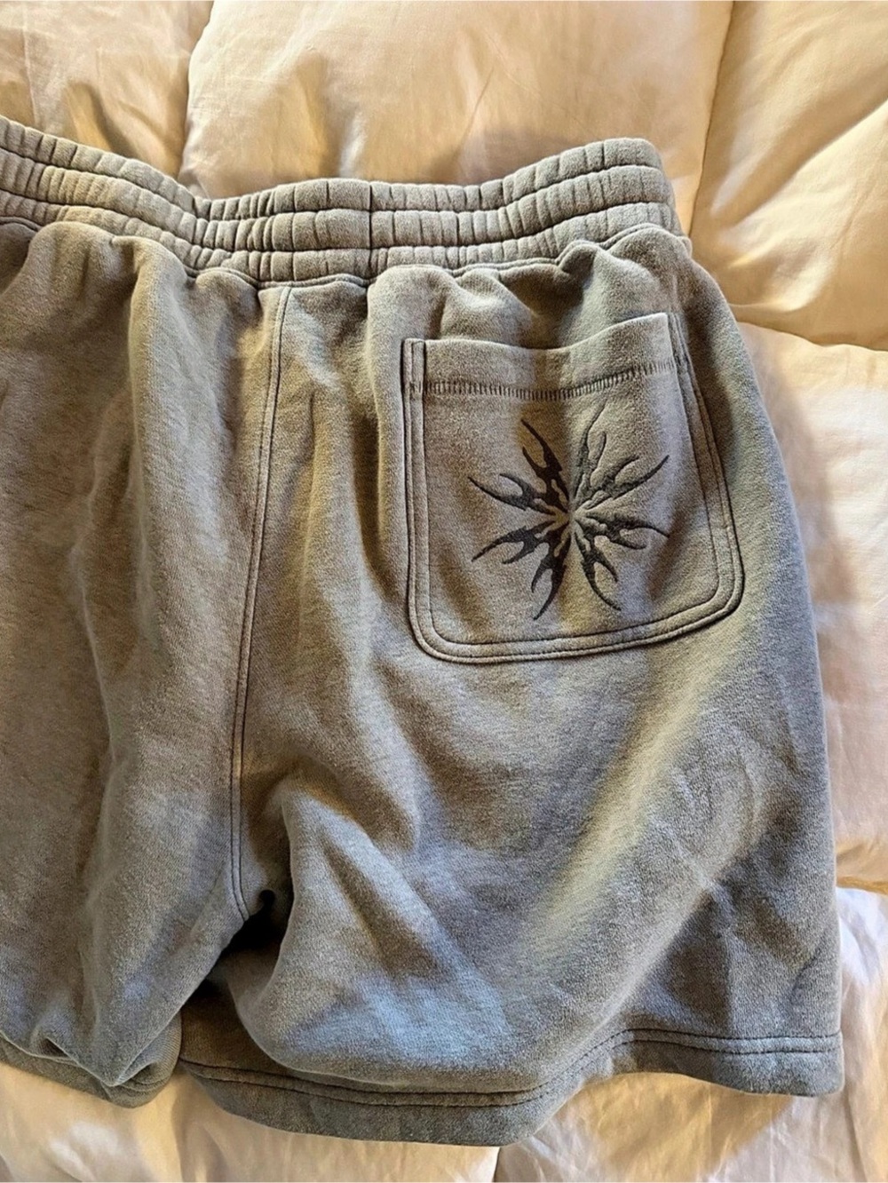 NWOT Hollister Mens Gray Shorts Size Large